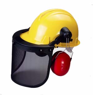 SAF-H101-WM Helmet and Hearing and Face Protection sets