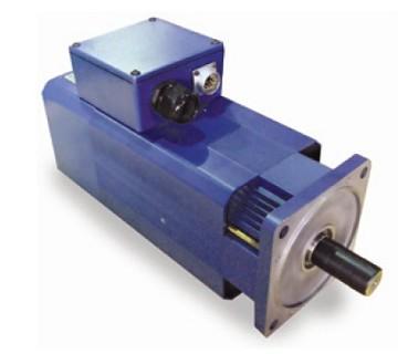 MTR-SV80SS / MTR-SV90SS / MTR-SV90MS Asynchronous-Servo Spindle Motor